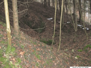 img7.gif